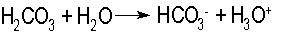 RGSaurC2.gif (614 Byte)